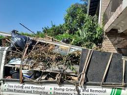 Best Residential Junk Removal  in Lauderdale, MN
