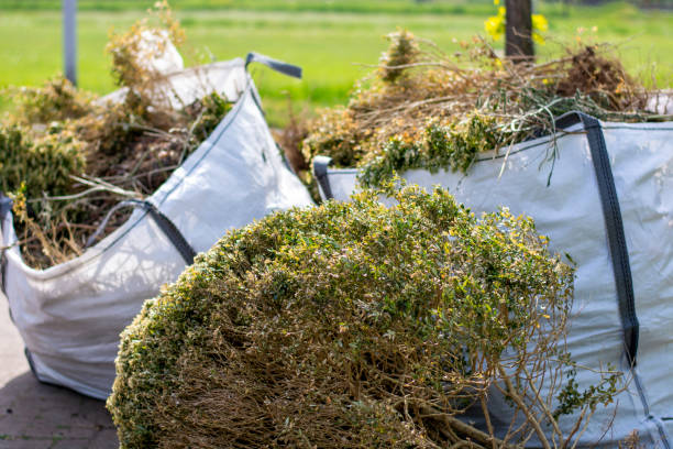 Best Moving and Downsizing Cleanouts  in Lauderdale, MN